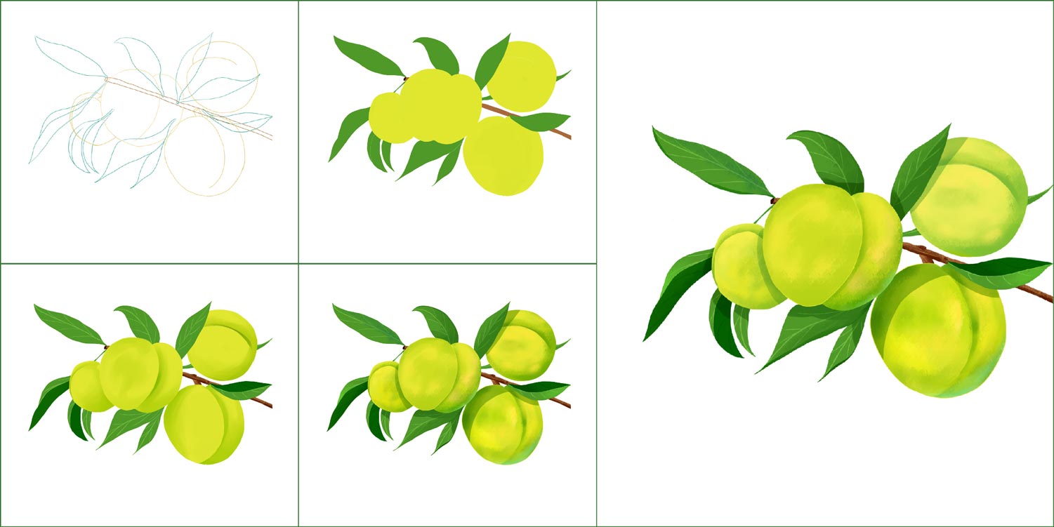 水果产品手绘插图设计